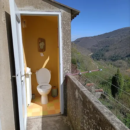 Miss Cardabelle Holiday home